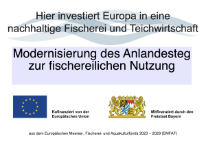 Bekanntmachung: Modernisierung des Anlandesteg zur fischereilichen Nutzung